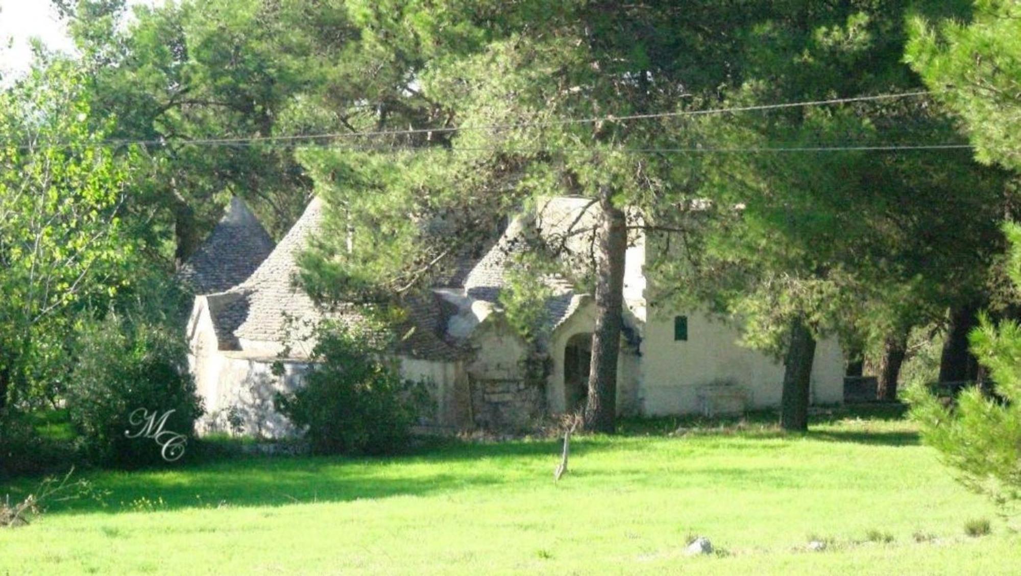 Harry'S House Bed & Breakfast Fasano Dış mekan fotoğraf